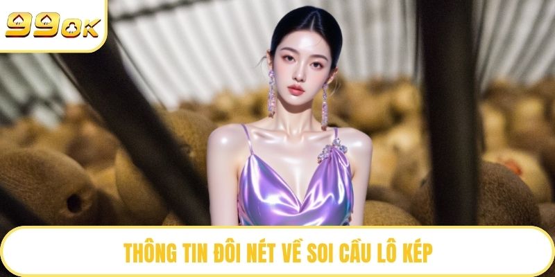 Thông tin đôi nét về soi cầu lô kép